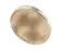 Shisancore AI データ分析